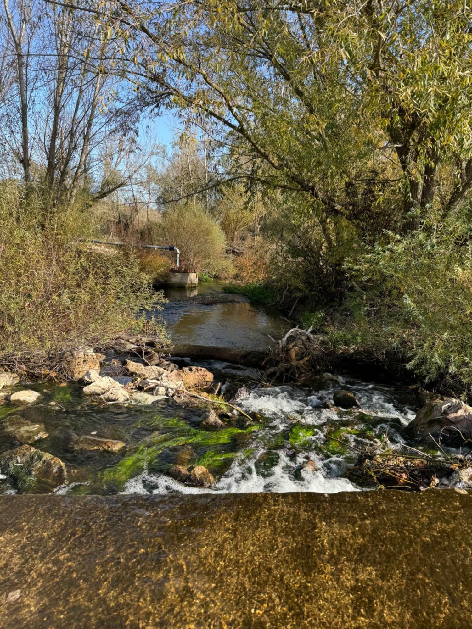 Las Gavias Matapozuelos Экстерьер фото
